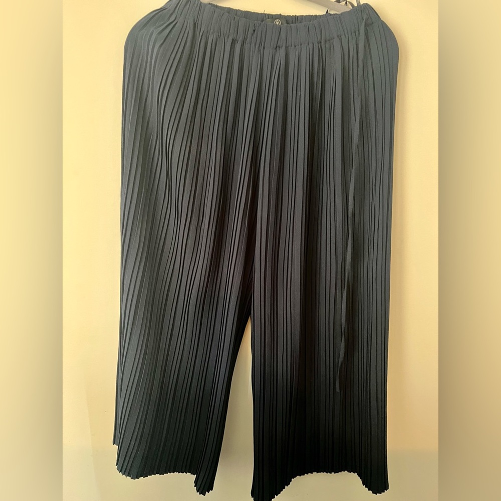 Pleated navy pants; ankle length